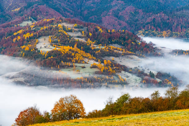 istock Hill with trees against gorge covered with fog in autumn 1369754509