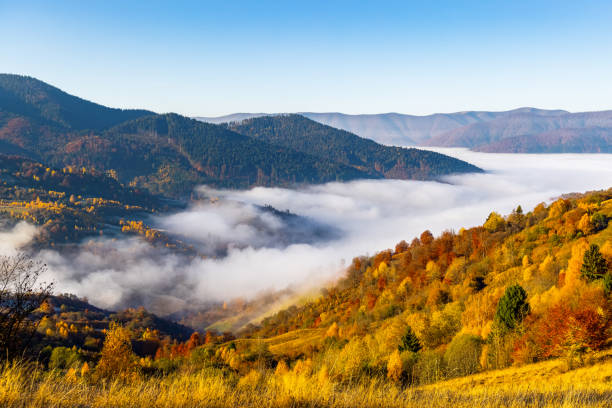 Giant valley surrounded by forestry mountains in highland