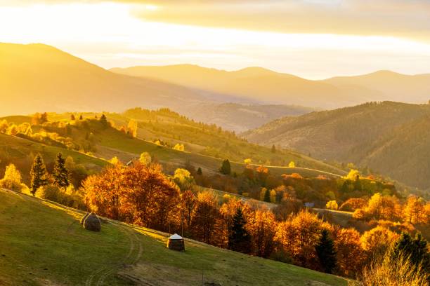 istock Grassy slopes with lush trees against mountains at sunset 1369754932