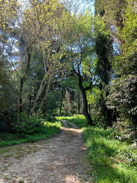 Shady path for walking along Corfu island, Greece