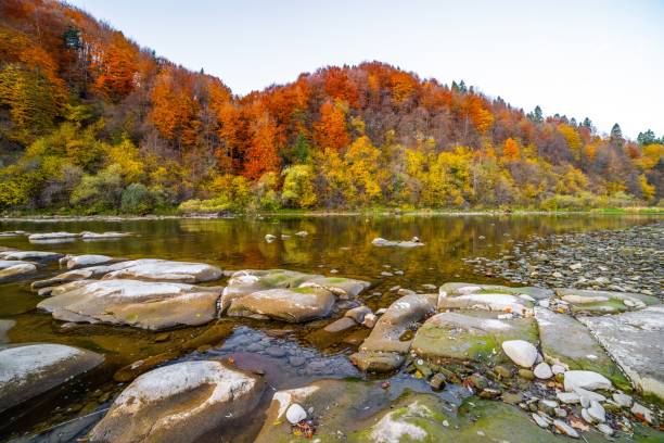 istock River rapids with autumn forests on banks 1369755961