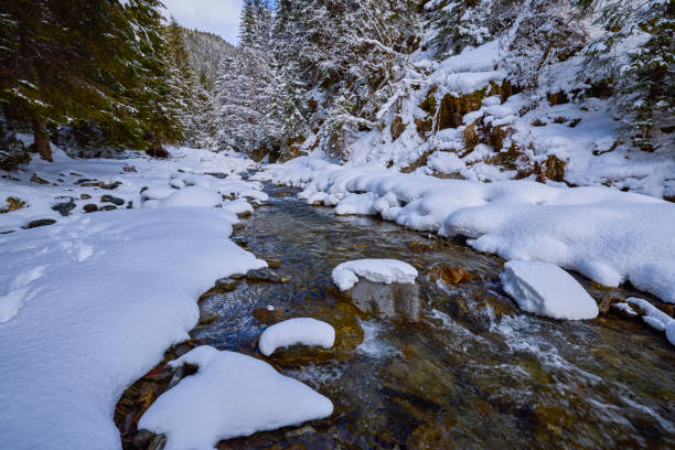 winter images with a mountain river. idyllic landscape