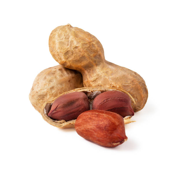 istock set of peanuts in a nutshell, unpeeled and shelled peanuts isolated on white background. 1369756272