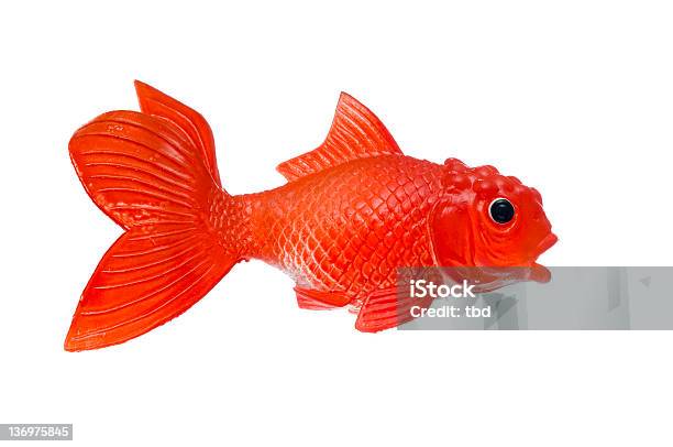 Goldfisch Stockfoto und mehr Bilder von Spielzeug - Spielzeug, Fisch, Freisteller – Neutraler Hintergrund