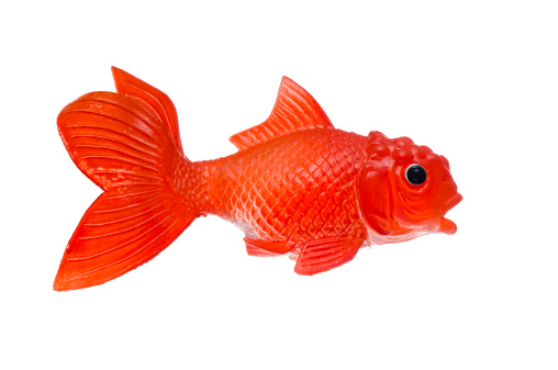 A toy goldfish set against a white background.