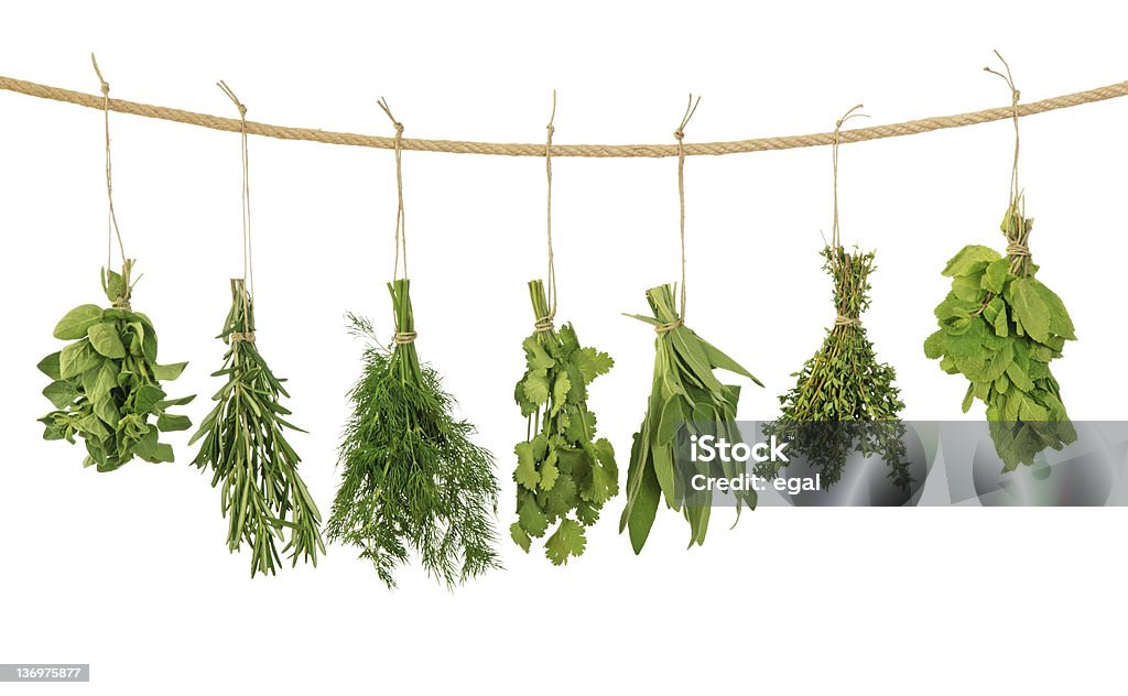 Fresh herbs Fresh herbs hanging isolated on white background Hanging Stock Photo