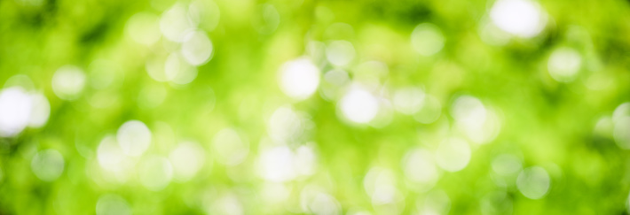 Abstract Green background