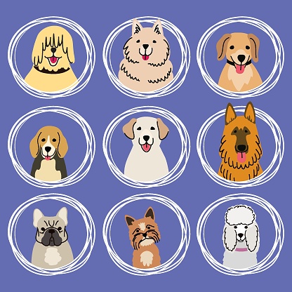 Heads of various dog breeds cartoon color illustration on white background.