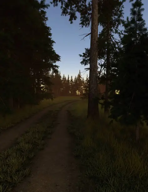 Dirt road in woodland with firs at sunrise. 3D render.