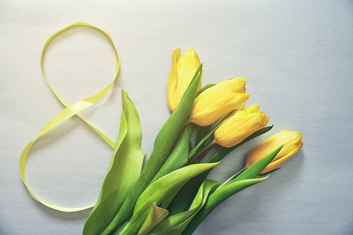 Five yellow fresh tulips on a grey background. Flowers with the number eight made of ribbon. Concept of holiday, March 8, International womans day. Card with copy space.