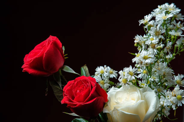 Red roses and white roses. Saint Valentine. Copy space, Background.