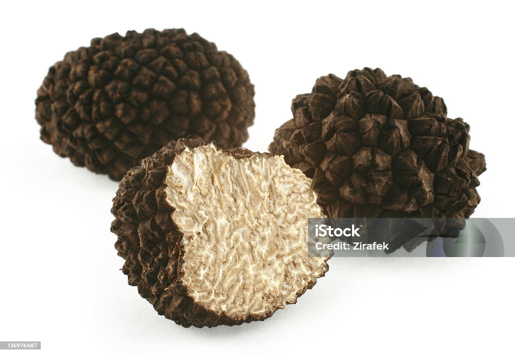 Black Gold Truffles isolated on white. Truffles are valuable subterranean ascomycetous fungi. They have strong odor and are used sparingly. Truffles are supposed to have aphrodisiacal powers. They can be found with pigs or specially trained dogs. Black Truffle Stock Photo