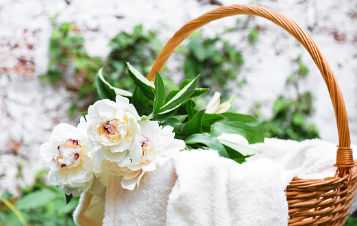 istock White peonies blooming flower bouquet in wooden picnic basket on white plaid. Picnic and romantic date basket with spring flowers outside. 1369765875