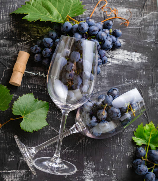 wine glasses full of grapes on black stone table. grape bunches with leaves and vines on dark rustic concrete background. wine glass composition with grape imitated fresh red wine. square - close to food and drink yummy food imagens e fotografias de stock