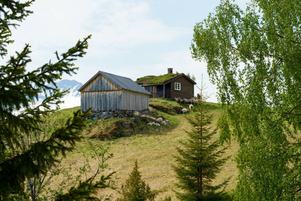 istock Cottage on the hill framed with green trees. 1369767094