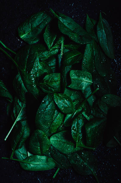 Macro view of spinach leaves