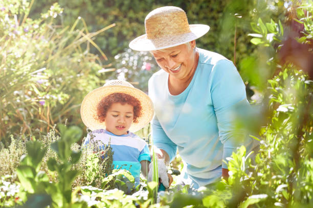 istock Simple pleasures at home with family 1369773222