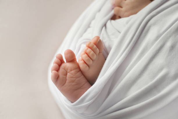 istock newborn baby feet on white background 1369773575