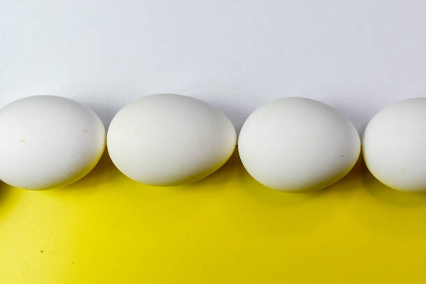 istock A composition of white chicken eggs laid horizontally between a yellow and white background 1369773962