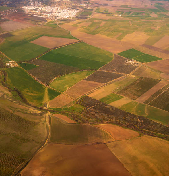 campos de agricultura aérea mid no sul da espanha - aerial view mid air farm field - fotografias e filmes do acervo