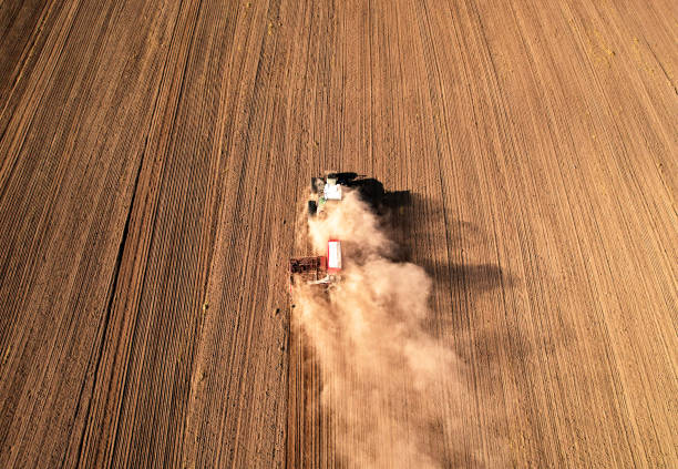 istock Tractor with plough on field cultivating. Field cultivating, aerial view. Tractor with disk harrow on plowed. 1369776822