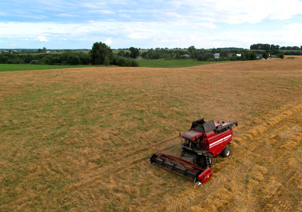 istock Combine harvester on harvesting oilseed rape in field. 1369777034