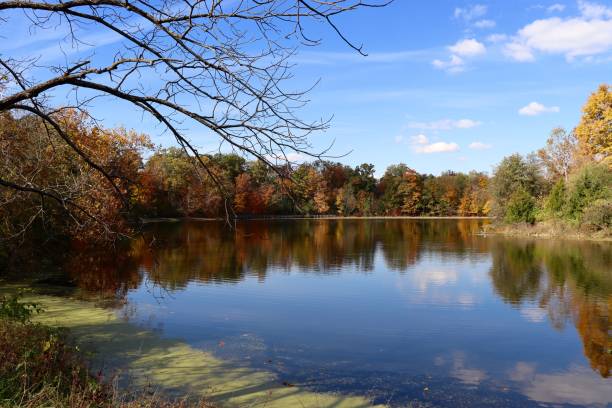 istock Autumn at the Country Lake 1369779820