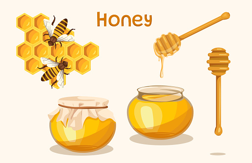 Illustration with liquid natural yellow honey on white background. Vector honeycombs with bee, closed and open glass jar with honey and wooden dipper in cartoon style.
