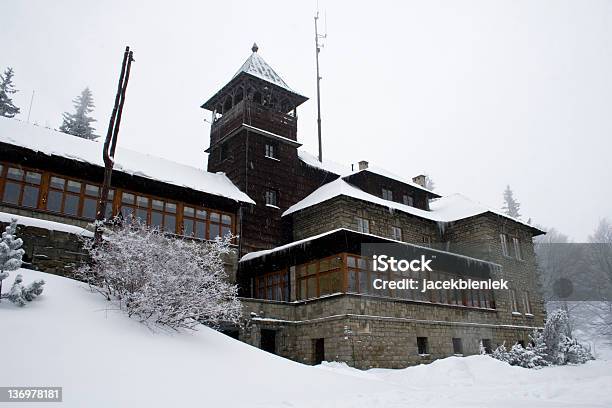 Shelter W Góry - zdjęcia stockowe i więcej obrazów Białe włosy - Białe włosy, Chłodny, Drzewo