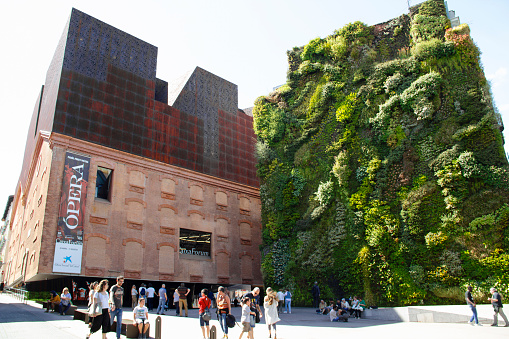 People Discovering and Enjoying CaixaForum Madrid Vertical Garden Outdoors, View from Calle de Almadén Street, Paseo del Prado, Real Jardín Botánico de Madrid and Museo Nacional del Prado Neighborhood, in Downtown Madrid, Spain, Europe on a Sunny Spring Afternoon in May 2019 - CaixaForum Madrid is a popular and prestigious cultural center of the social work of La Caixa. It is mainly dedicated to temporary exhibitions, in addition to other cultural activities. It was designed by the Swiss architects Herzog & de Meuron and built by Ferrovial between 2001 and 2007, inaugurated in 2008 and is part of the Art Triangle on the Paseo del Prado.