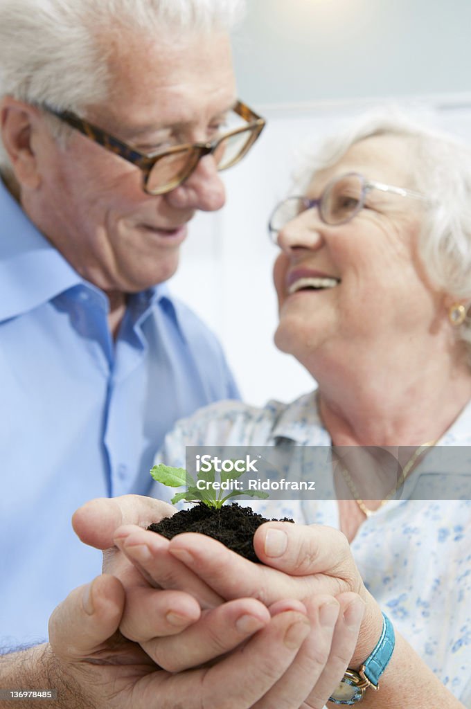 Investment and saving for retirement Old retired couple holding a fresh plant in their hands, symbol of good bank investement for the retirement. 70-79 Years Stock Photo