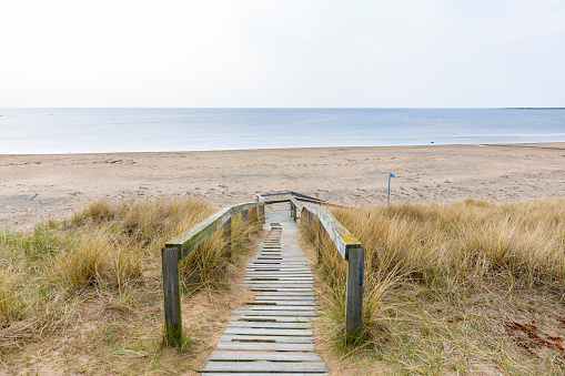 A red flag. Warning sign on the beach