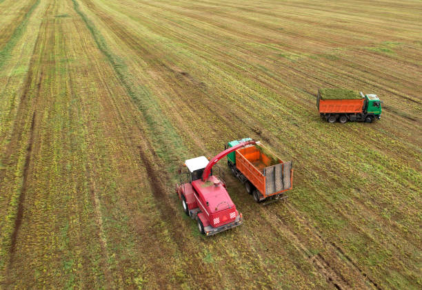 istock Cutting grass silage at field. Forage harvester on grass cutting for silage in field. Self-propelled Harvester on Hay making 1369787026