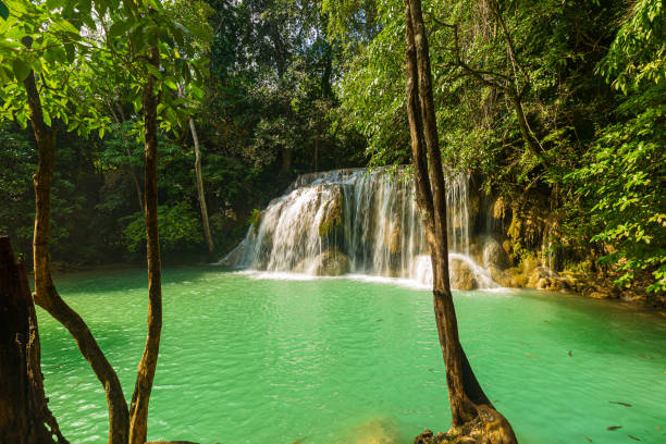 belles cascades en thaïlande, belle cascade dans la forêt verte dans la jungle, cascade d’erawan, la belle cascade dans la forêt du parc national d’erawan - une belle cascade sur la rivière kwai. kanchanaburi, thaïlande - national park kanchanaburi province thailand waterfall photos et images de collection
