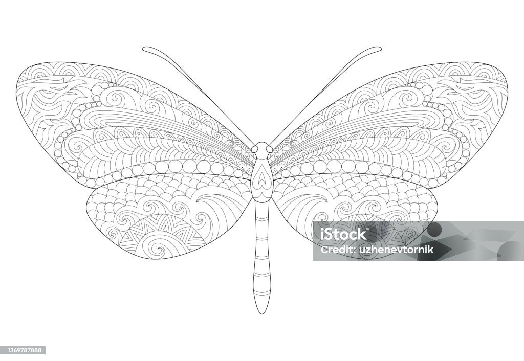 Butterfly Line Art For Coloring Page Stock Illustration - Download
