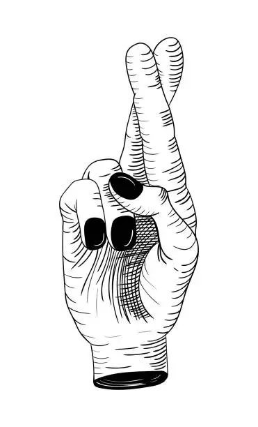 Vector illustration of Hand with two crossed fingers gesture