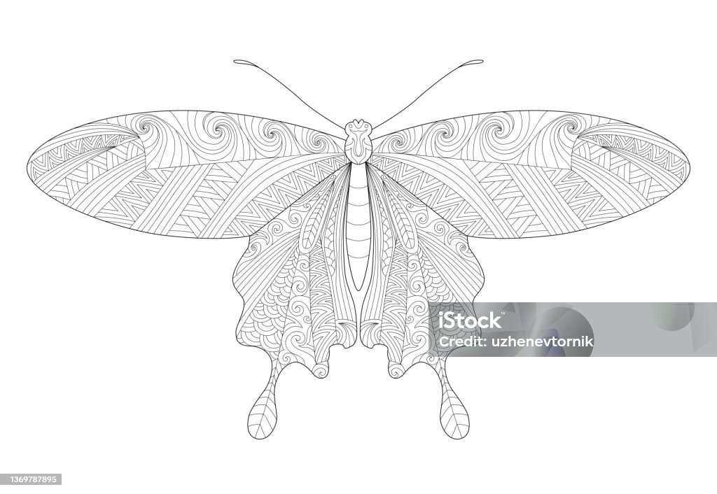 Butterfly Line Art For Coloring Page Stock Illustration - Download