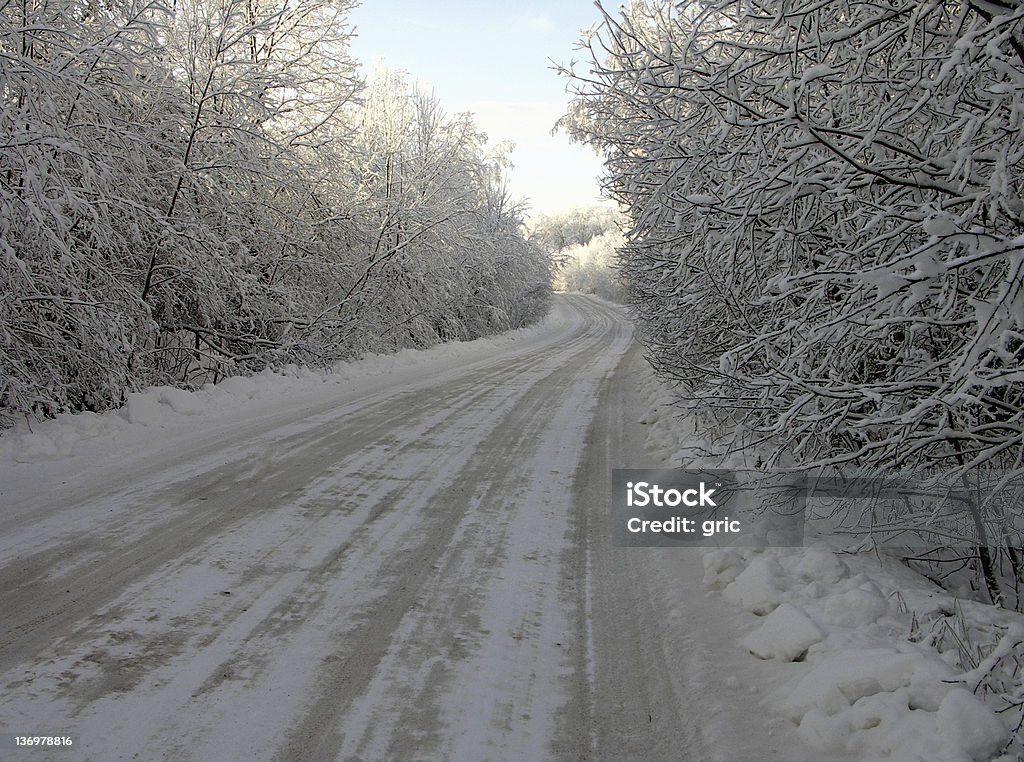 Inverno - Foto stock royalty-free di Albero