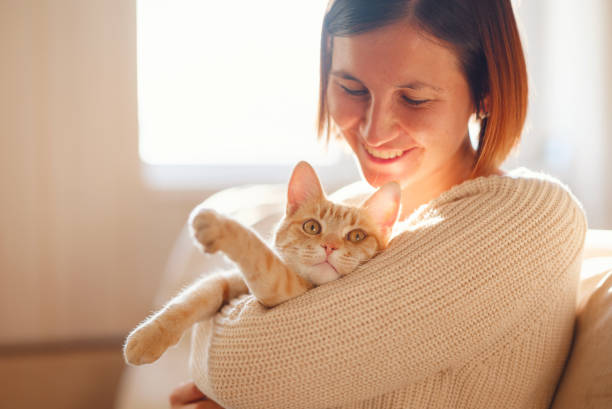 istock woman resting with cat on sofa at home 1369788315