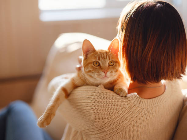 istock woman resting with cat on sofa at home 1369788365