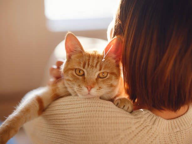 istock woman resting with cat on sofa at home 1369788441