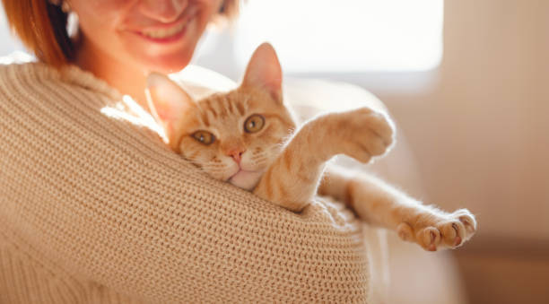 istock woman resting with cat on sofa at home 1369788499