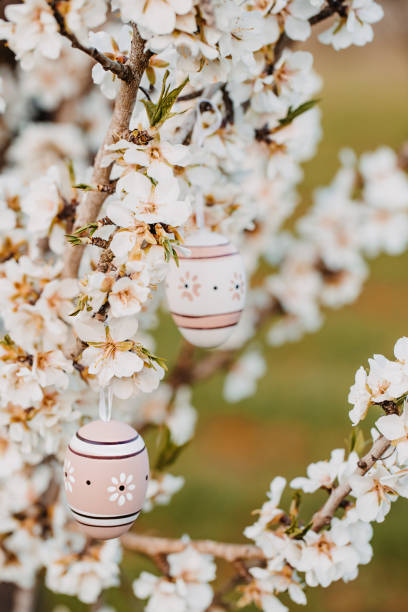 istock Two beige boho easter eggs hanging in between fragrant almond blossoms on an almond tree 1369789339