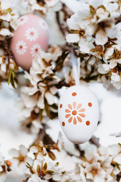 istock Close up of two beige boho easter eggs hanging in between sweet-smelling almond blossoms on an almond tree 1369789357