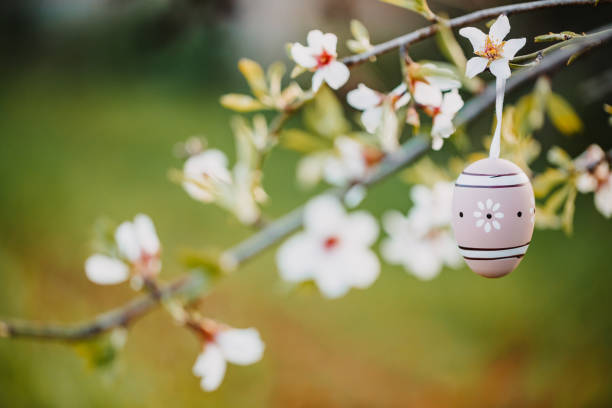 Single beige boho Easter egg hanging on an almond branch on an almond tree. Color editing with added grain. Very selective focus. Part of a series.