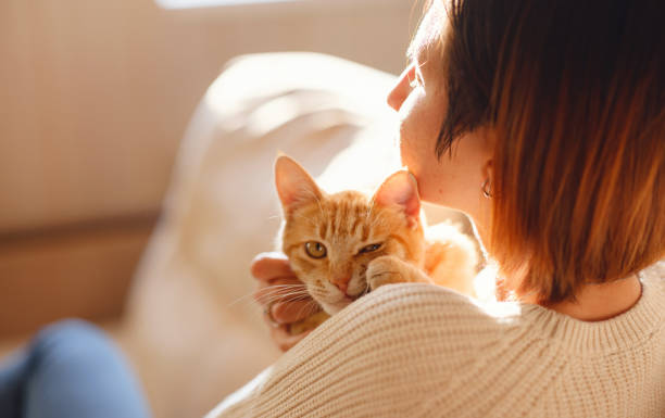 istock woman resting with cat on sofa at home 1369789402