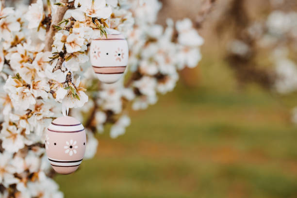 istock Two beige boho easter eggs hanging in between scented almond blossoms on an almond tree 1369789415