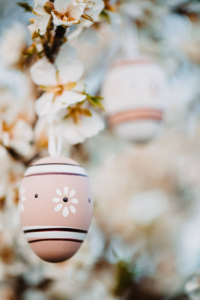 istock Close up of two beige boho easter eggs hanging in between fragrant almond blossoms on an almond tree 1369789476