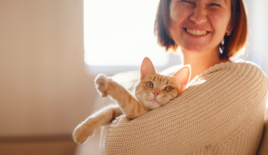 Young asian woman wears warm sweater resting with tabby cat on sofa at home one autumn day. Indoor shot of amazing lady holding ginger pet. Morning sleep time at home. Soft focus.