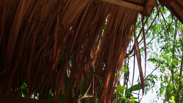 The thatched roof